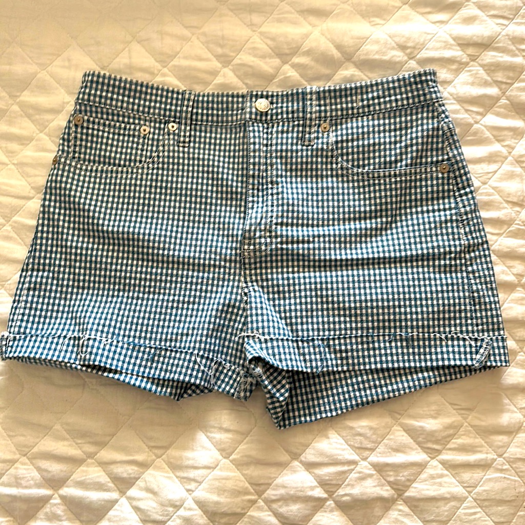 Madwell Shorts Size 29